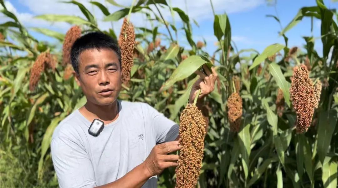 白菜送彩金平台